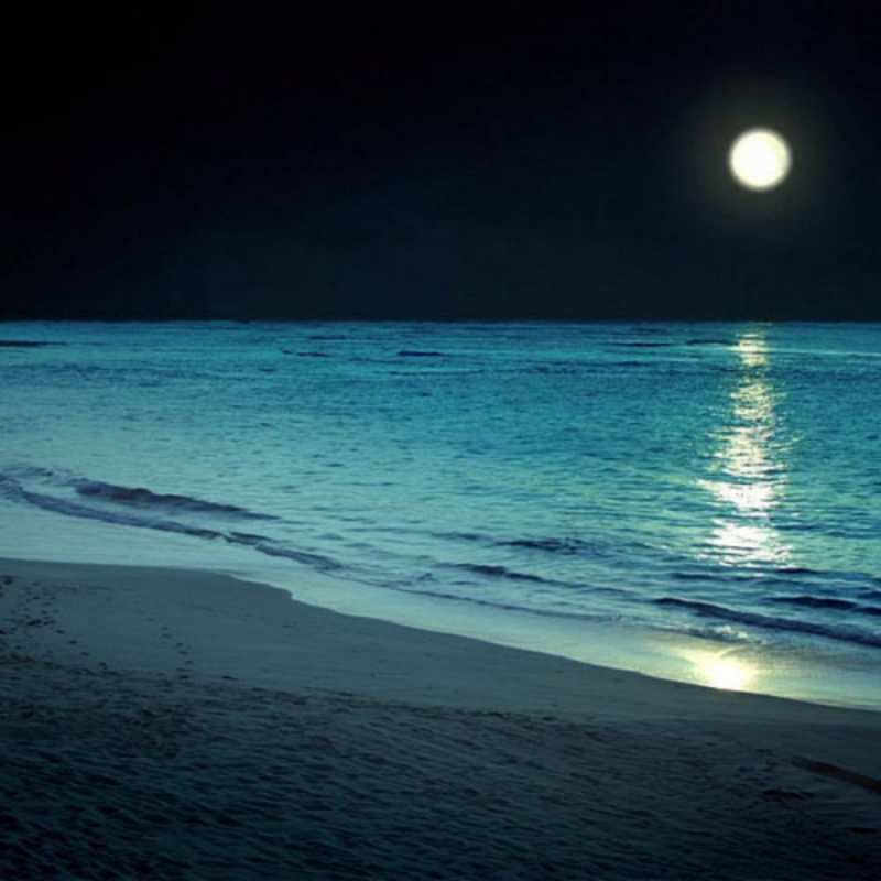 Открытка Ночь на песчаном берегу при свете луны нежное море ночью   